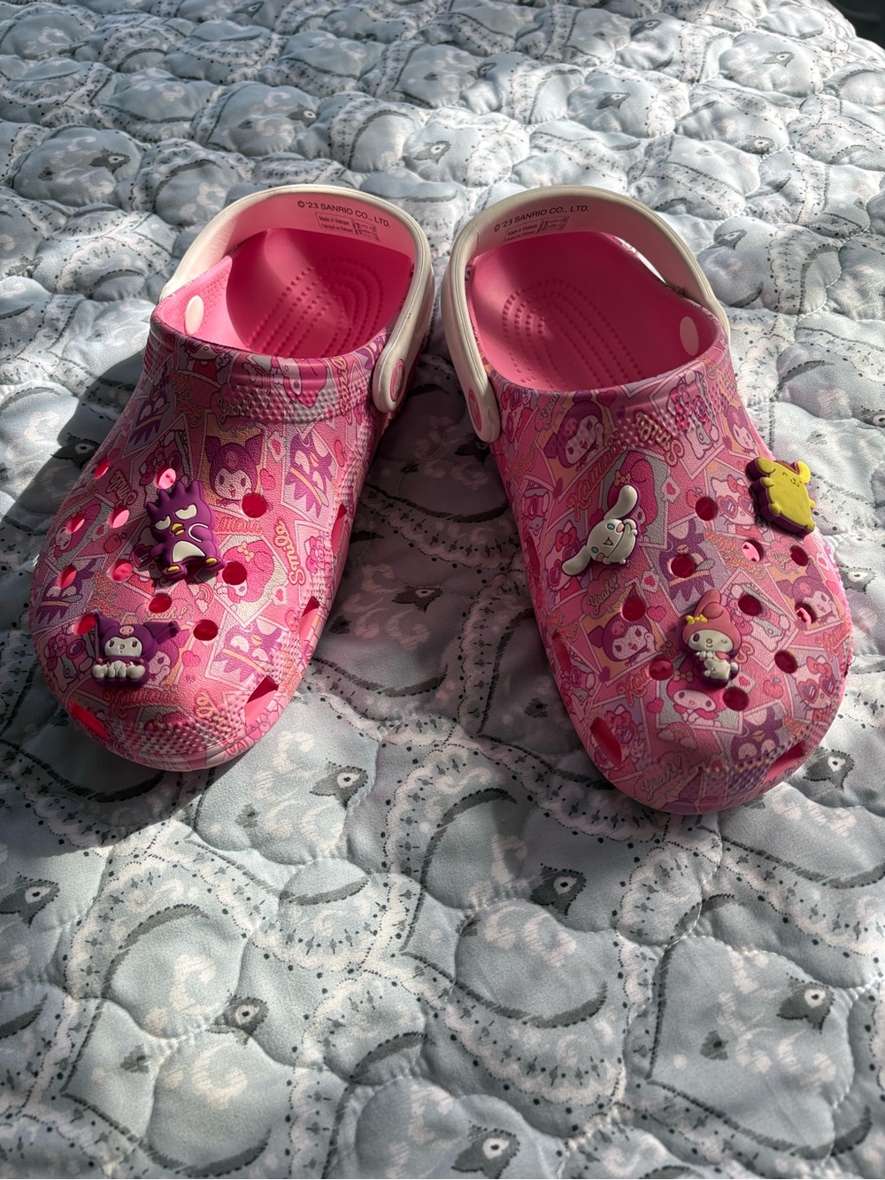 CROCS Pink Patterned Slip-On Clogs with Character Charms